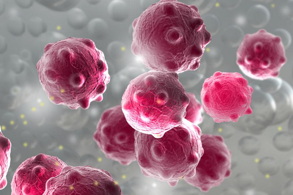 1493003655778686n7Xh.png 1.png