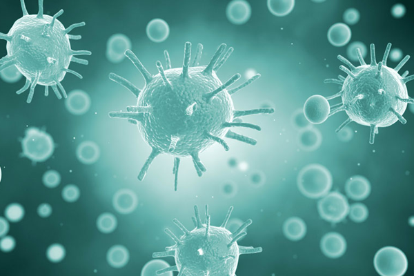 14933473998866298A8O.png 4.png