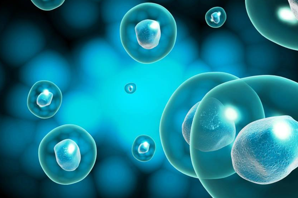 1493865984758867Z492.png 1.png