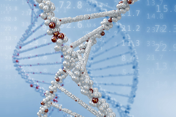 14949027216446971Nl6.jpg 3.jpg