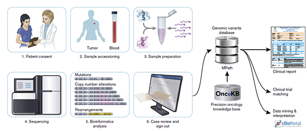 1495161850394997kmwu.png 5.png