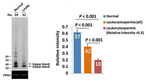 1495418635192538OBtW.png 6.png