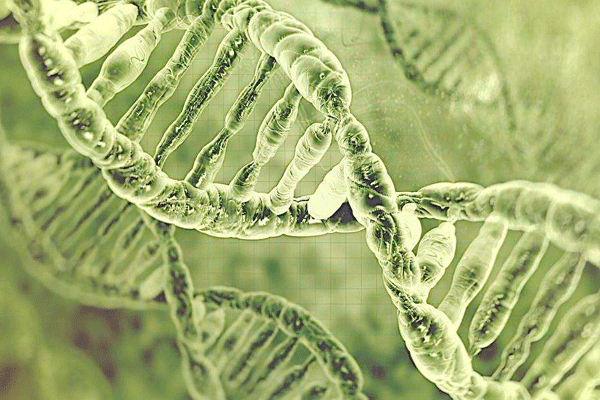 1495682761730825pQzP.png 1.png