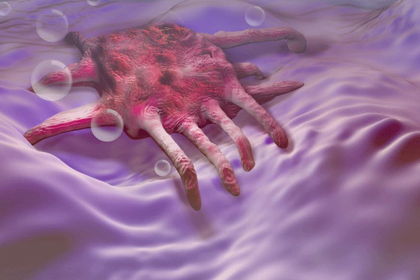 14957778599061582qpo.png 1.png