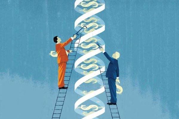 1496812479306797Nx5L.jpg 6.jpg