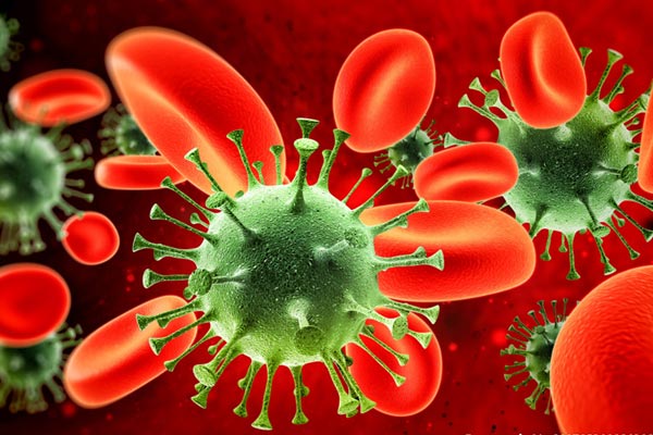 14968125561169729iAE.jpg 1.jpg