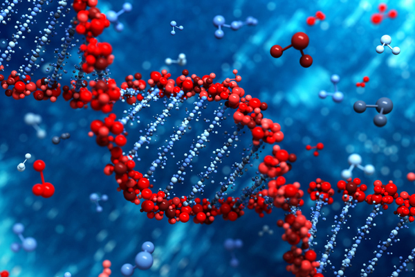 149792553065188268UU.jpg 6.jpg