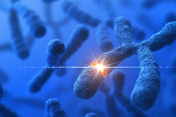 1500614284157458jcyP.jpg 5.jpg