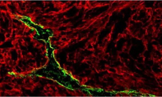 1505961024644916GLyH.jpg 未標(biāo)題-7.jpg