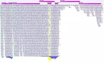 150777493017082810SO.png 5.png