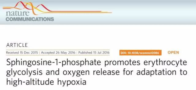 1520560285427817MkDS.jpg 12.jpg