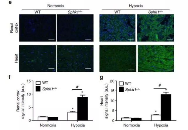 1520560594566806On80.jpg 111.jpg
