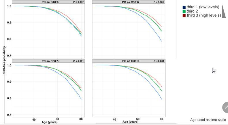 15217009219613309Li1.png 8.png