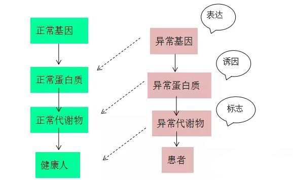 15235030658960449H7B.jpg 7.jpg