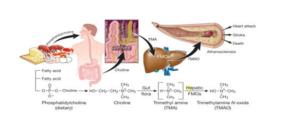 1523503135811579PqjP.jpg 9.jpg