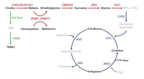 1523503163879616SaBa.jpg 10.jpg