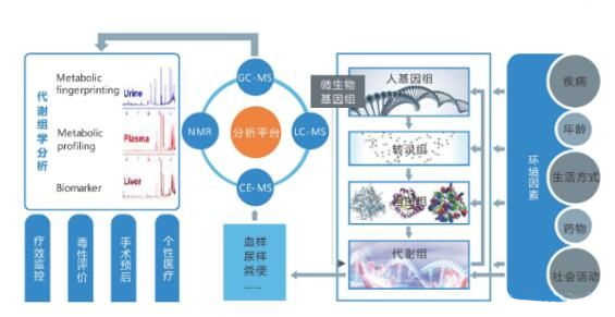 15235032885156875km9.jpg 12.jpg