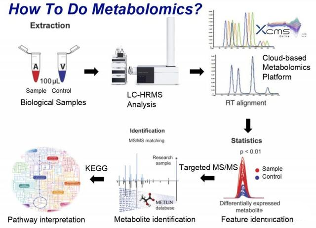 1524728322819721KUiE.png 14.png