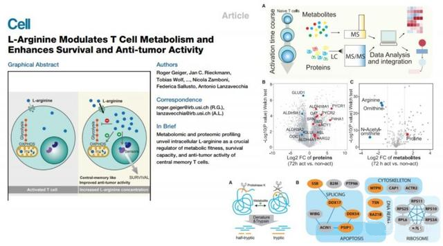 15247283503815948wZJ.png 15.png