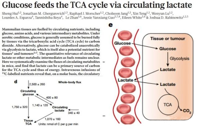 1524728405600899eovw.png 16.png