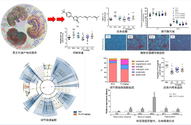 152533330145242316M3.png 15.png