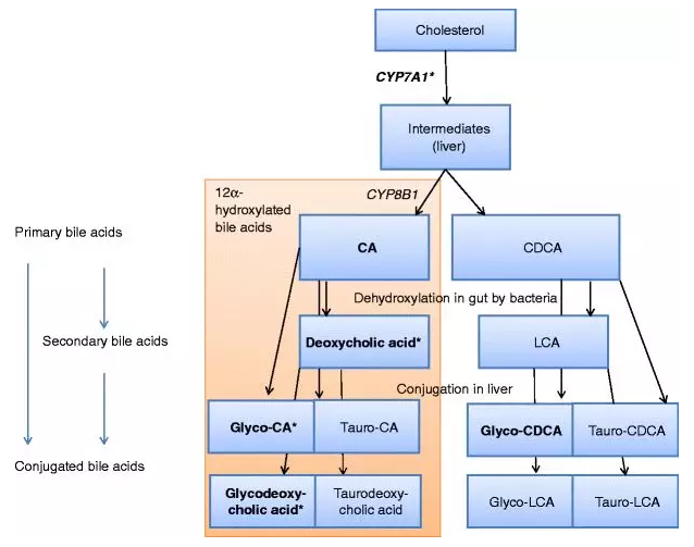 1531981516170229xPa4.jpg 12.jpg