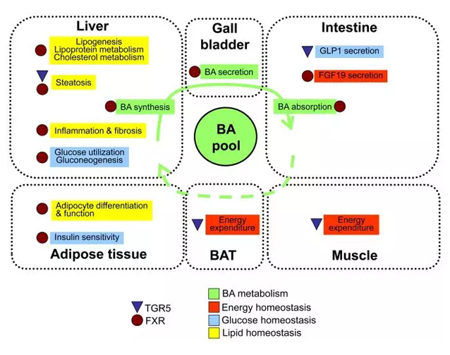153198159995538264qs.jpg 13.jpg