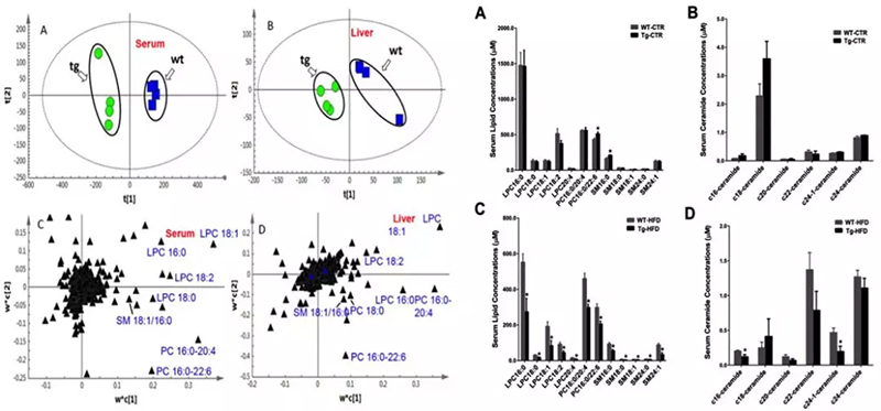 1531981834522656xecR.jpg 14.jpg