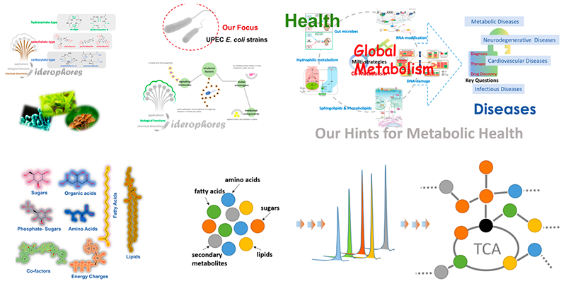 1533190647829868jSUJ.png 9.png