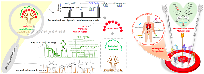 1533190735181094Ds7j.png 11.png