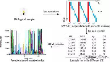 1537496847505635DulW.jpg 2.jpg