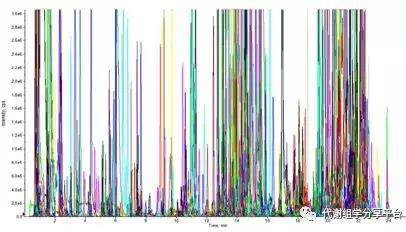 1537497006184202m1KW.jpg 5.jpg