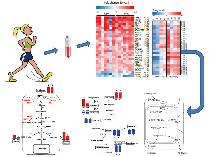 1544173113901661y0Lm.png image.png