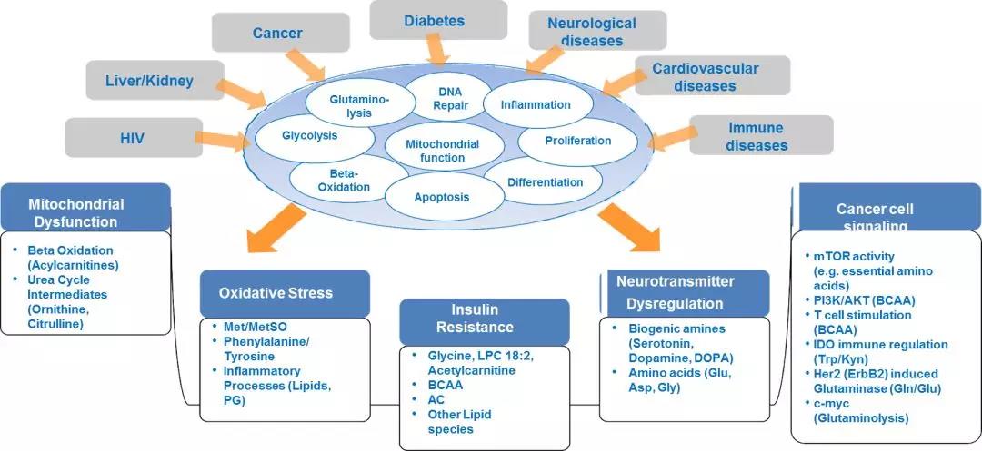 1560303013497627VXsN.jpg 2.jpg