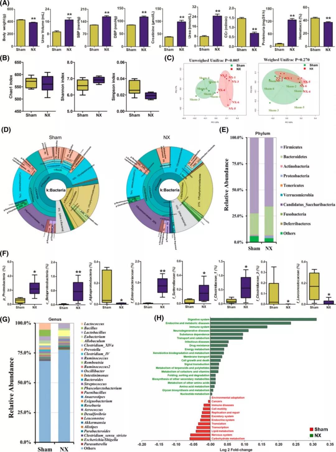 1563325671634031K4zI.jpg 1.jpg