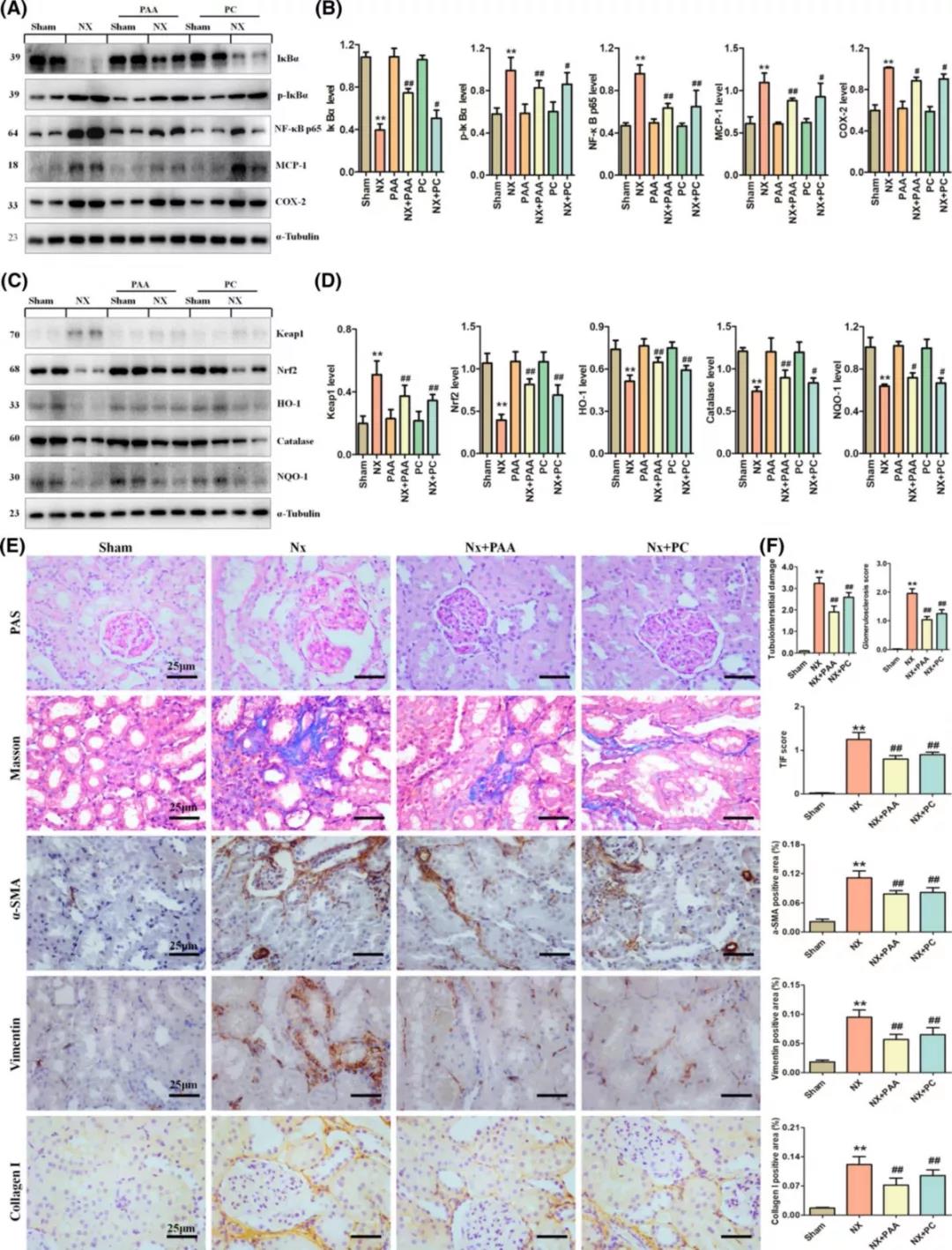 1563325701524971UzW8.jpg 7.jpg