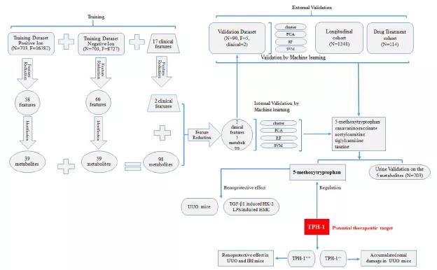 1568857450238901W5cR.jpg 1.jpg