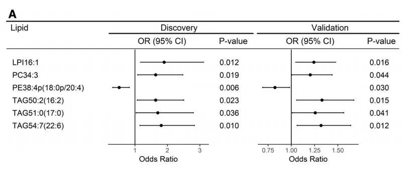 1571797184981087ACn9.jpg 6.jpg