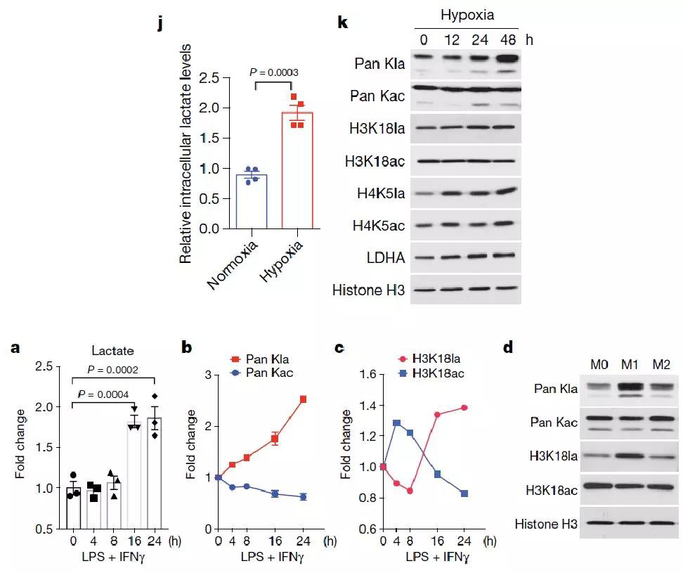 1572400286774222NXVD.jpg 5.jpg