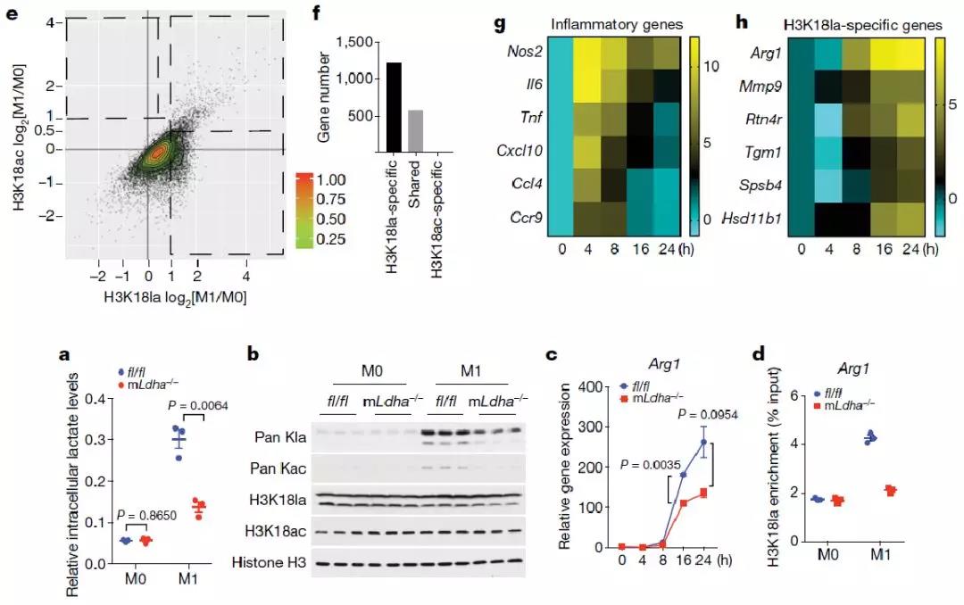 157240029691300127AJ.jpg 6.jpg